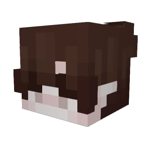 zqsr Minecraft avatar head, 3D render
