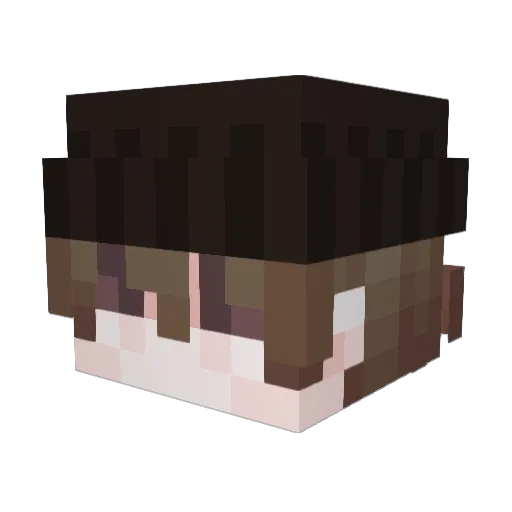 zqwc_ Minecraft avatar head, 3D render