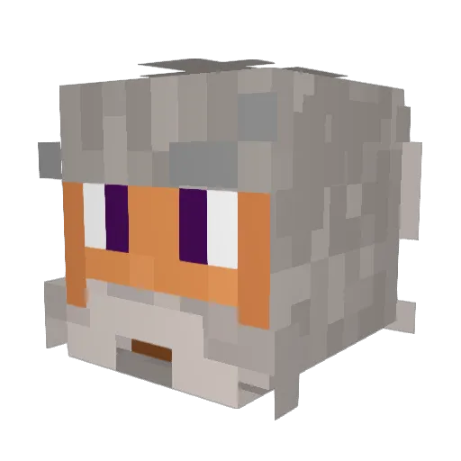 zqxw Minecraft avatar head, 3D render