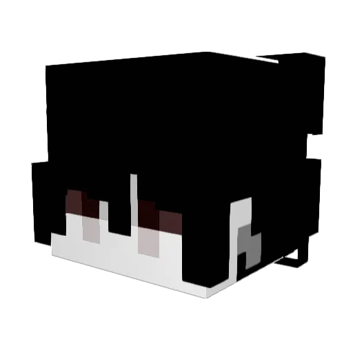 zrq666 Minecraft avatar head, 3D render