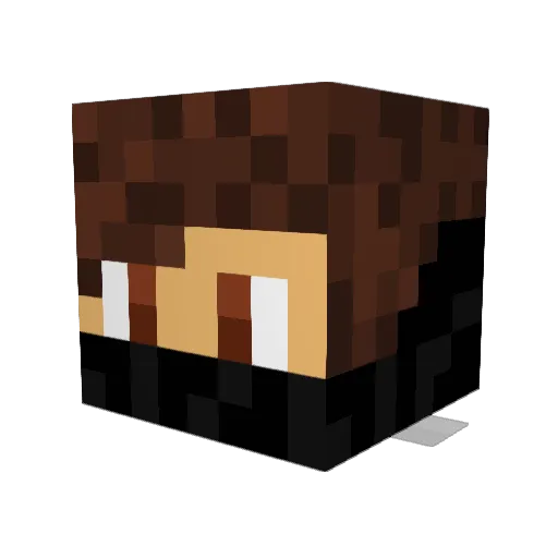 zrt4210 Minecraft avatar head, 3D render