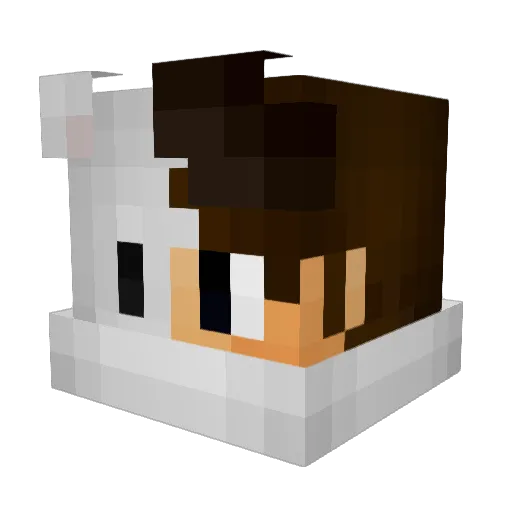 zsebhold Minecraft avatar head, 3D render