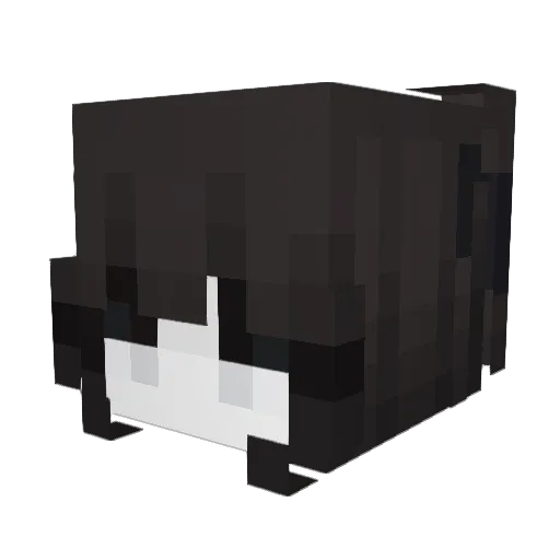 zseia Minecraft avatar head, 3D render