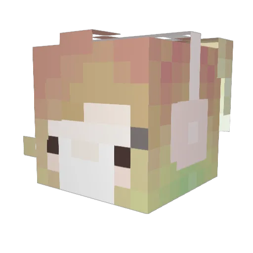 zsix_ Minecraft avatar head, 3D render
