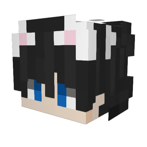 zssf Minecraft avatar head, 3D render
