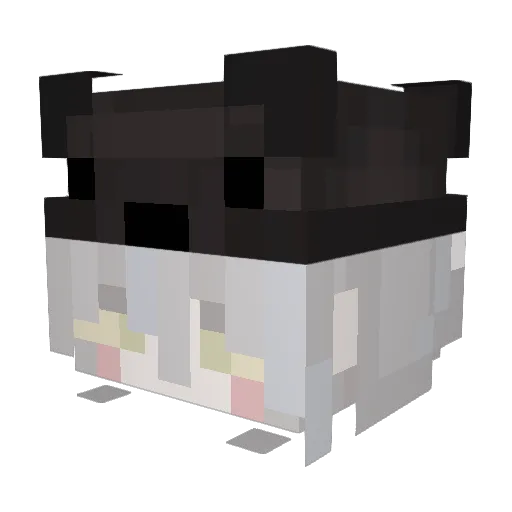 zssmo Minecraft avatar head, 3D render