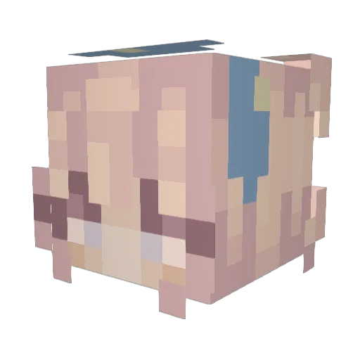 ztastic74 Minecraft avatar head, 3D render
