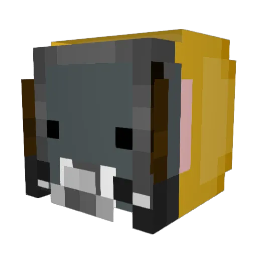 ztfg1 Minecraft avatar head, 3D render