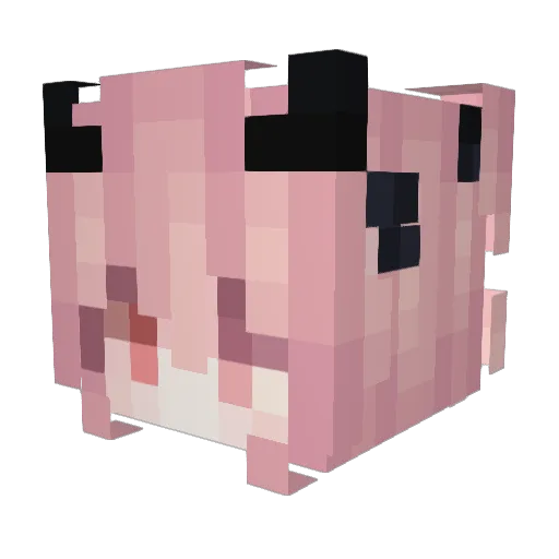 ztiwhcsua Minecraft avatar head, 3D render