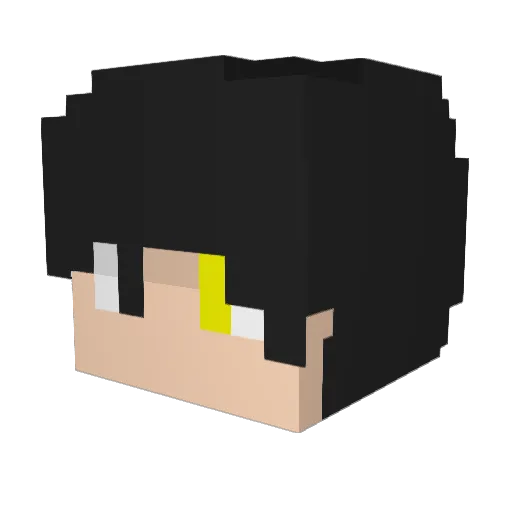 ztp2563 Minecraft avatar head, 3D render