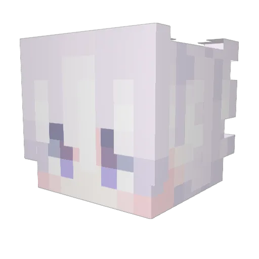 zubrzyk Minecraft avatar head, 3D render