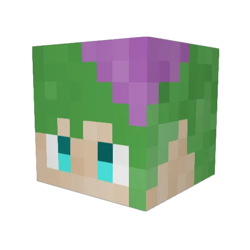 zucky0 Minecraft avatar head, 3D render