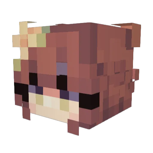 zudanschal88 Minecraft avatar head, 3D render
