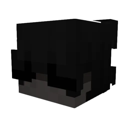 zukanova21 Minecraft avatar head, 3D render