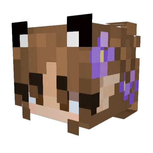 zuki650 Minecraft avatar head, 3D render