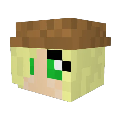 zuko11 Minecraft avatar head, 3D render