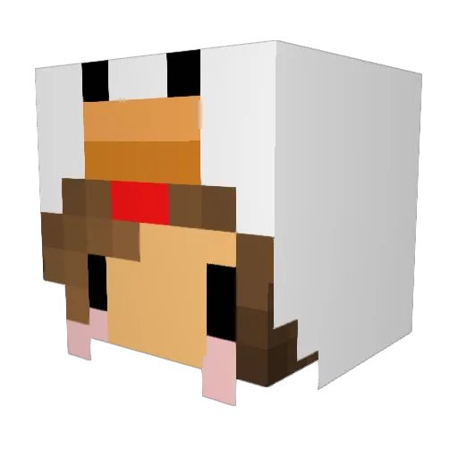 zukoisbae Minecraft avatar head, 3D render