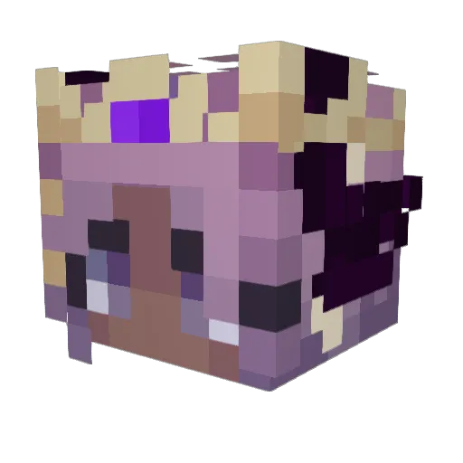 zuky_1 Minecraft avatar head, 3D render