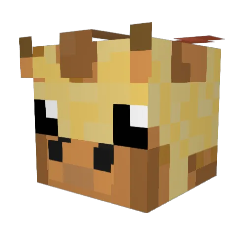 zuliet2003 Minecraft avatar head, 3D render