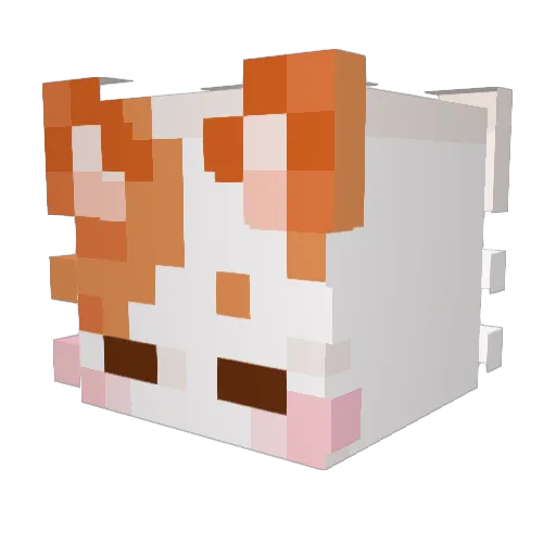 zunderish Minecraft avatar head, 3D render