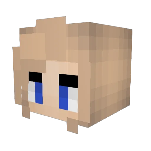 zunnysideup Minecraft avatar head, 3D render