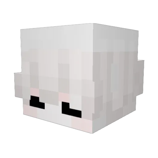 zunsi Minecraft avatar head, 3D render