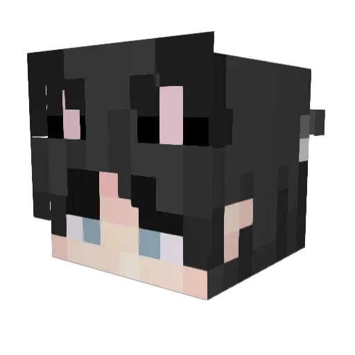 zurkitron Minecraft avatar head, 3D render