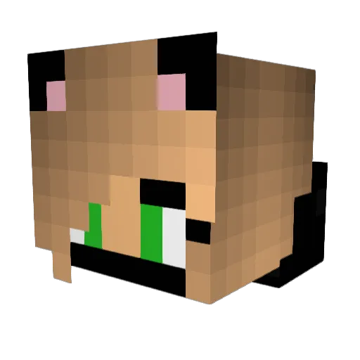 zutna Minecraft avatar head, 3D render