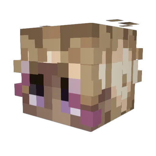 zuu5s Minecraft avatar head, 3D render