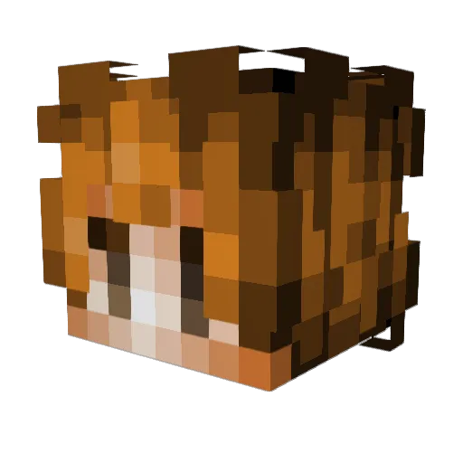 zuuowns_ Minecraft avatar head, 3D render
