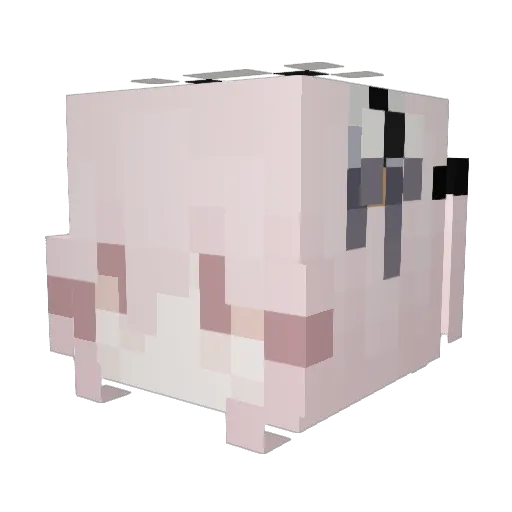 zuutsu_ Minecraft avatar head, 3D render