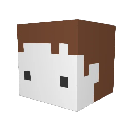 zuxvii Minecraft avatar head, 3D render