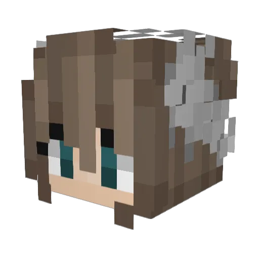 zuzulamb Minecraft avatar head, 3D render