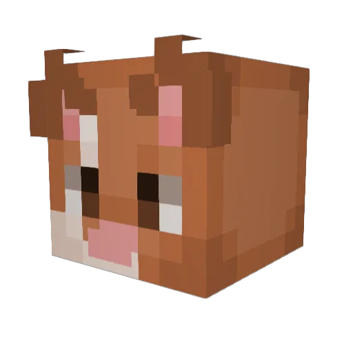 zvncc Minecraft avatar head, 3D render
