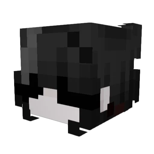 zwaggy_ Minecraft avatar head, 3D render