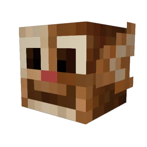 zwariowany9 Minecraft avatar head, 3D render