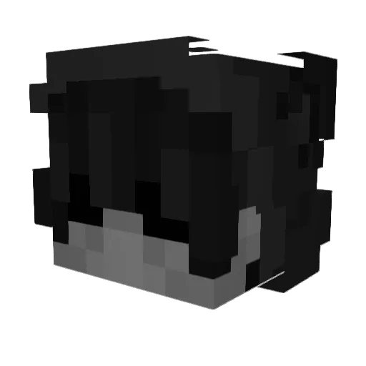 zwavy_ Minecraft avatar head, 3D render