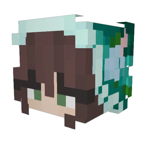 zwidipezi Minecraft avatar head, 3D render
