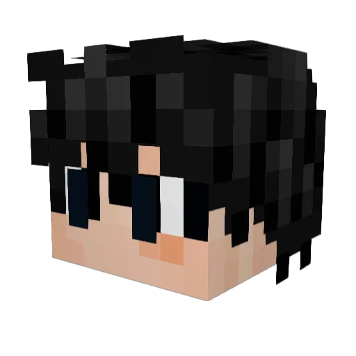 zwizz_ Minecraft avatar head, 3D render