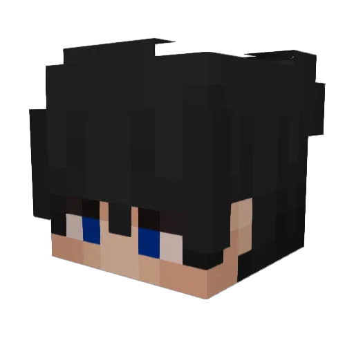 zwvn_ Minecraft avatar head, 3D render