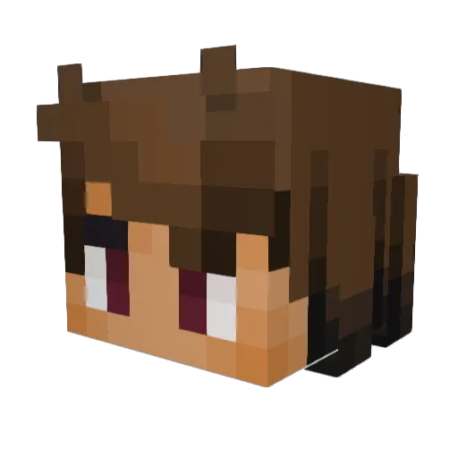 zwykly_grac Minecraft avatar head, 3D render