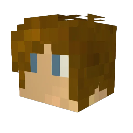 zx8700025 Minecraft avatar head, 3D render