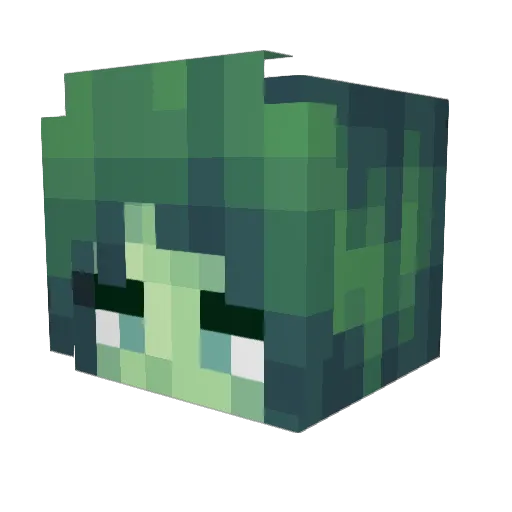 zxbboi Minecraft avatar head, 3D render