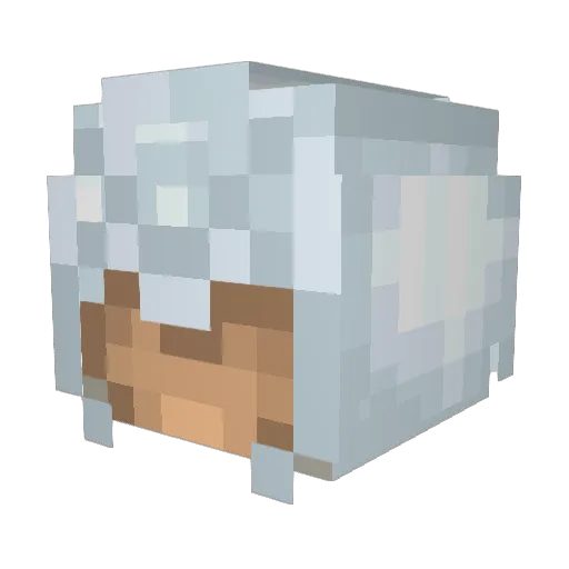 zxc56x Minecraft avatar head, 3D render