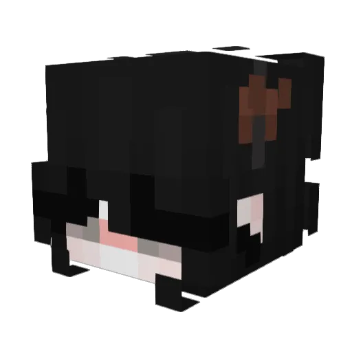 zxcFe Minecraft avatar head, 3D render
