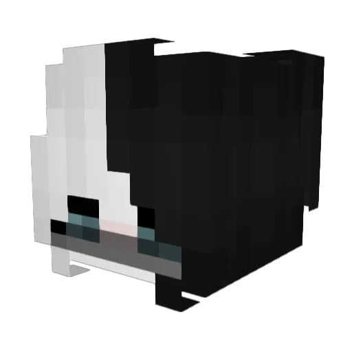 zxccWehyyt Minecraft avatar head, 3D render