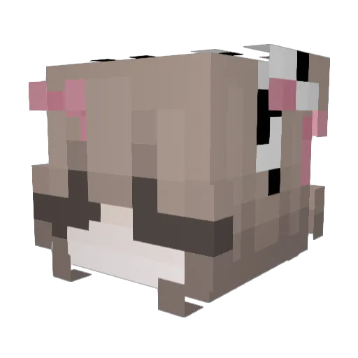 zxcmorozov Minecraft avatar head, 3D render