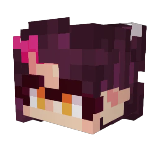 zxcvbn964 Minecraft avatar head, 3D render