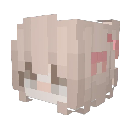 zxwgsjohnson Minecraft avatar head, 3D render