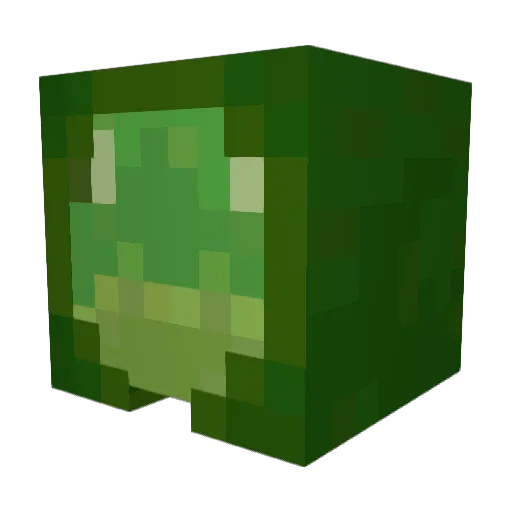 zxz480 Minecraft avatar head, 3D render